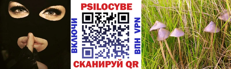Псилоцибиновые грибы Magic Shrooms Козловка